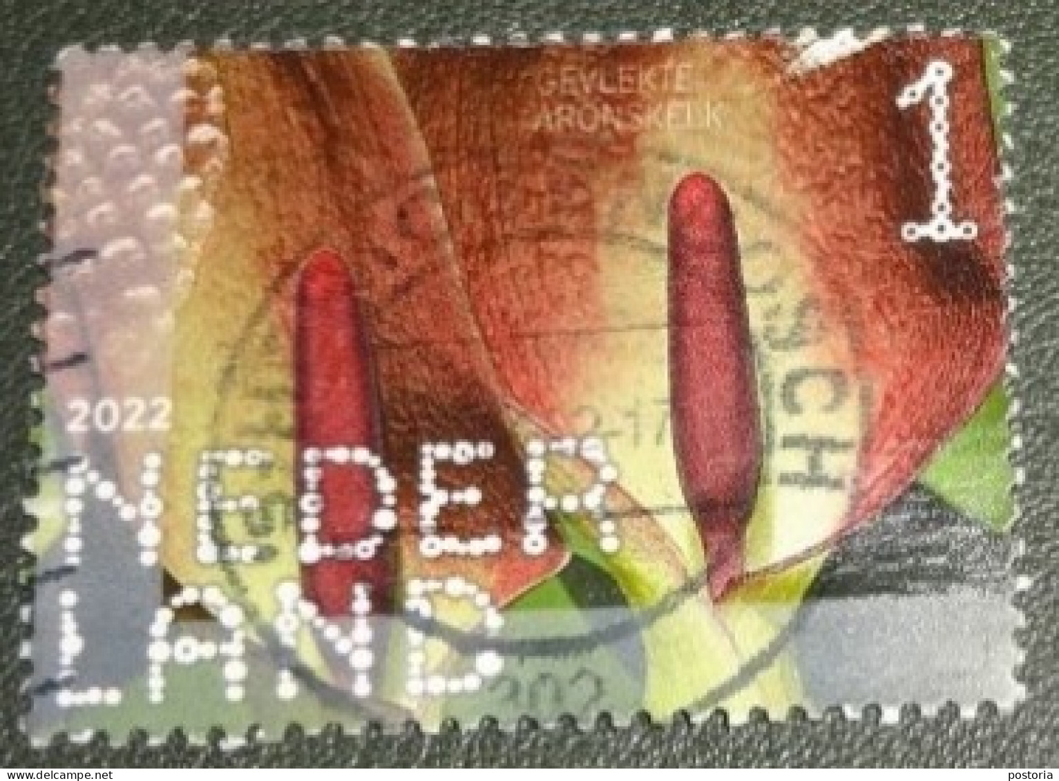 Nederland - NVPH - 4037 - 2022 - Gebruikt - Used - Beleef De Natuur - Gevlekte Aronskelk - Used Stamps