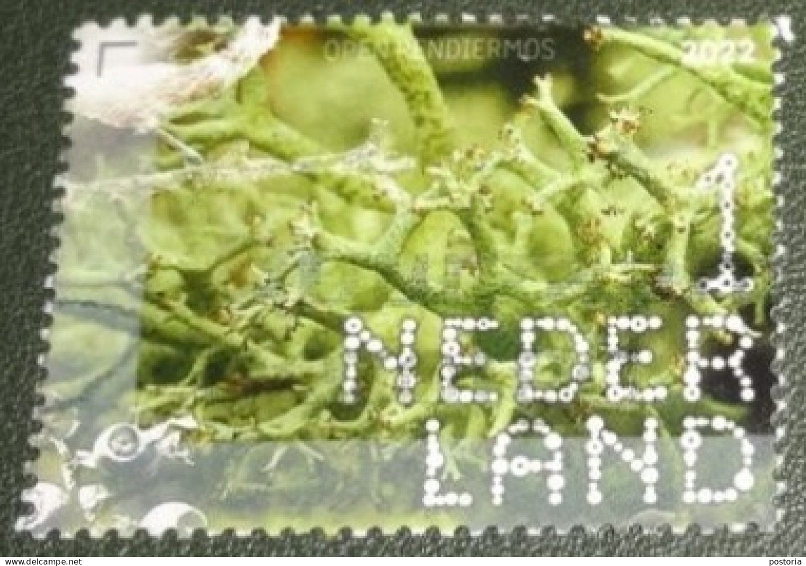 Nederland - NVPH - 4047 - 2022 - Gebruikt - Used - Beleef De Natuur - Open Rendiermos - Used Stamps