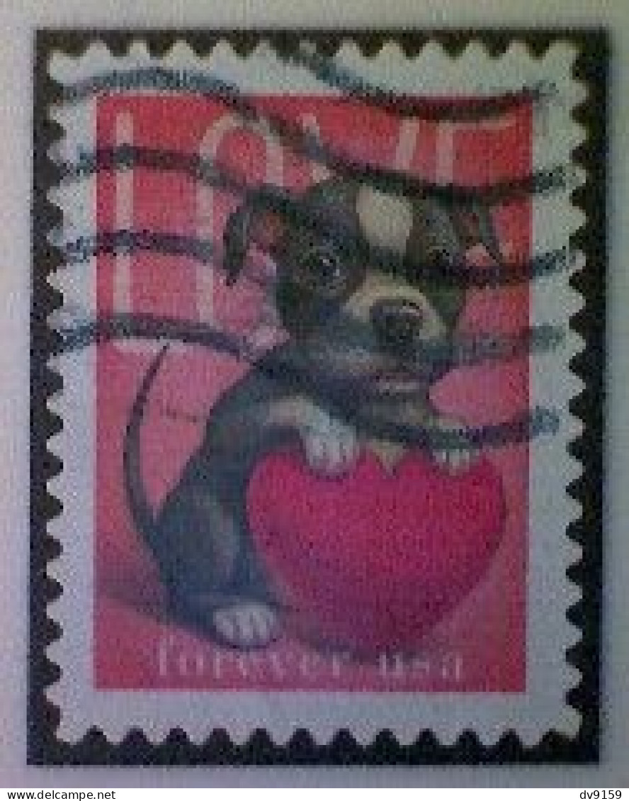 United States, Scott #5746, Used(o), 2023, Love Stamp: Puppy And Heart, (60¢) - Gebraucht