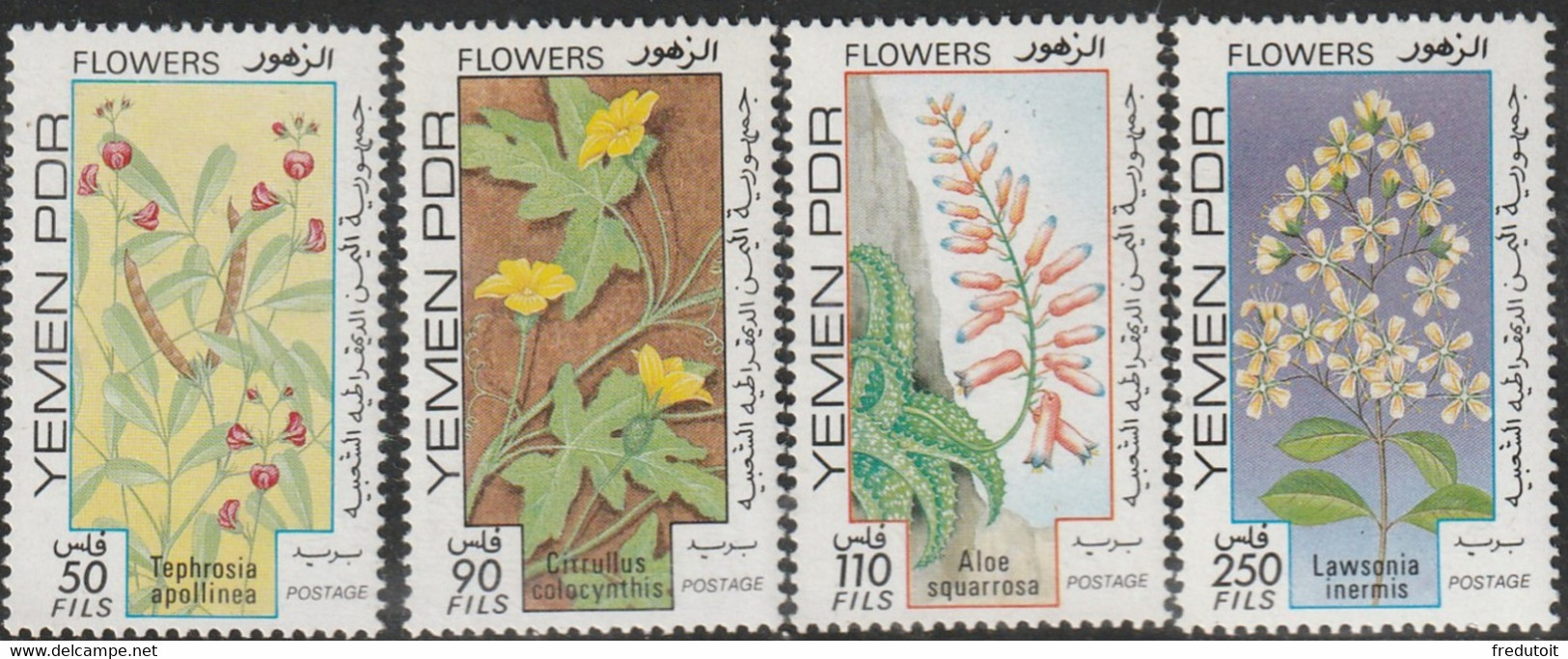 YEMEN Du SUD - N°259/62 ** (1981) Fleurs - Jemen