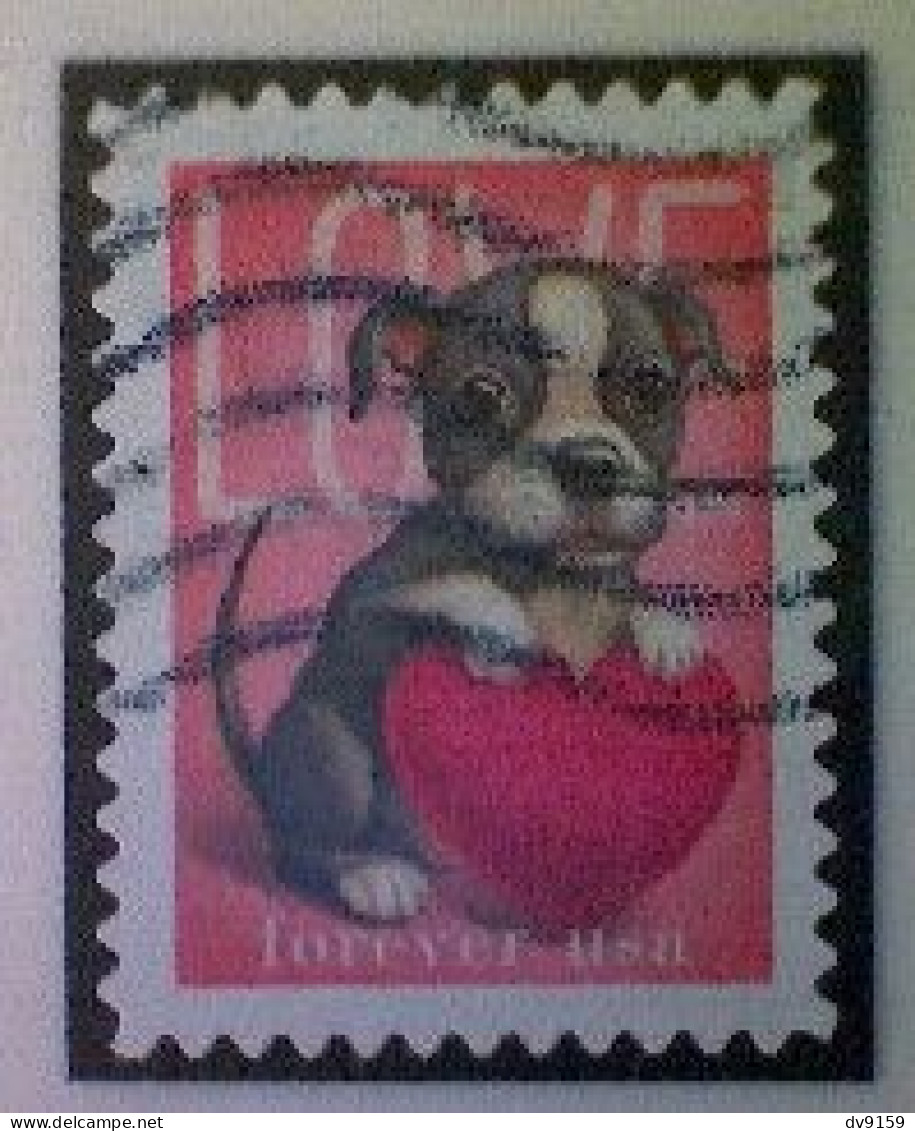 United States, Scott #5746, Used(o), 2023, Love Stamp: Puppy And Heart, (60¢) - Usados