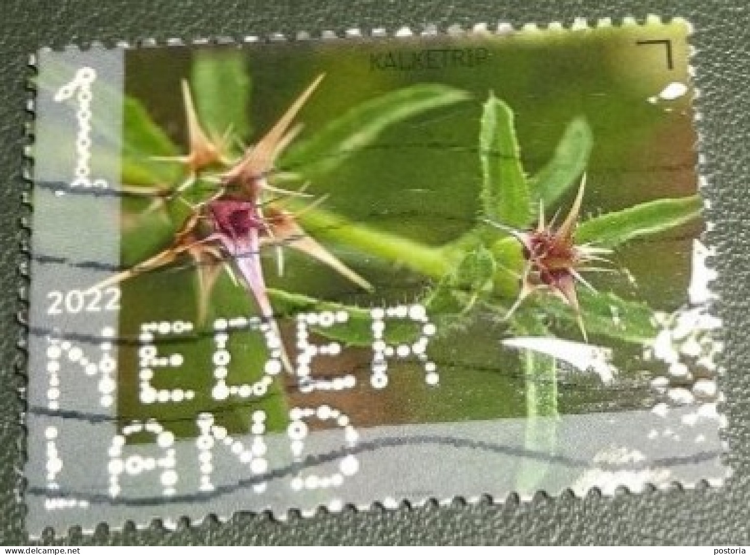 Nederland - NVPH - 4035 - 2022 - Gebruikt - Used - Beleef De Natuur - Kalketrip - Gebruikt