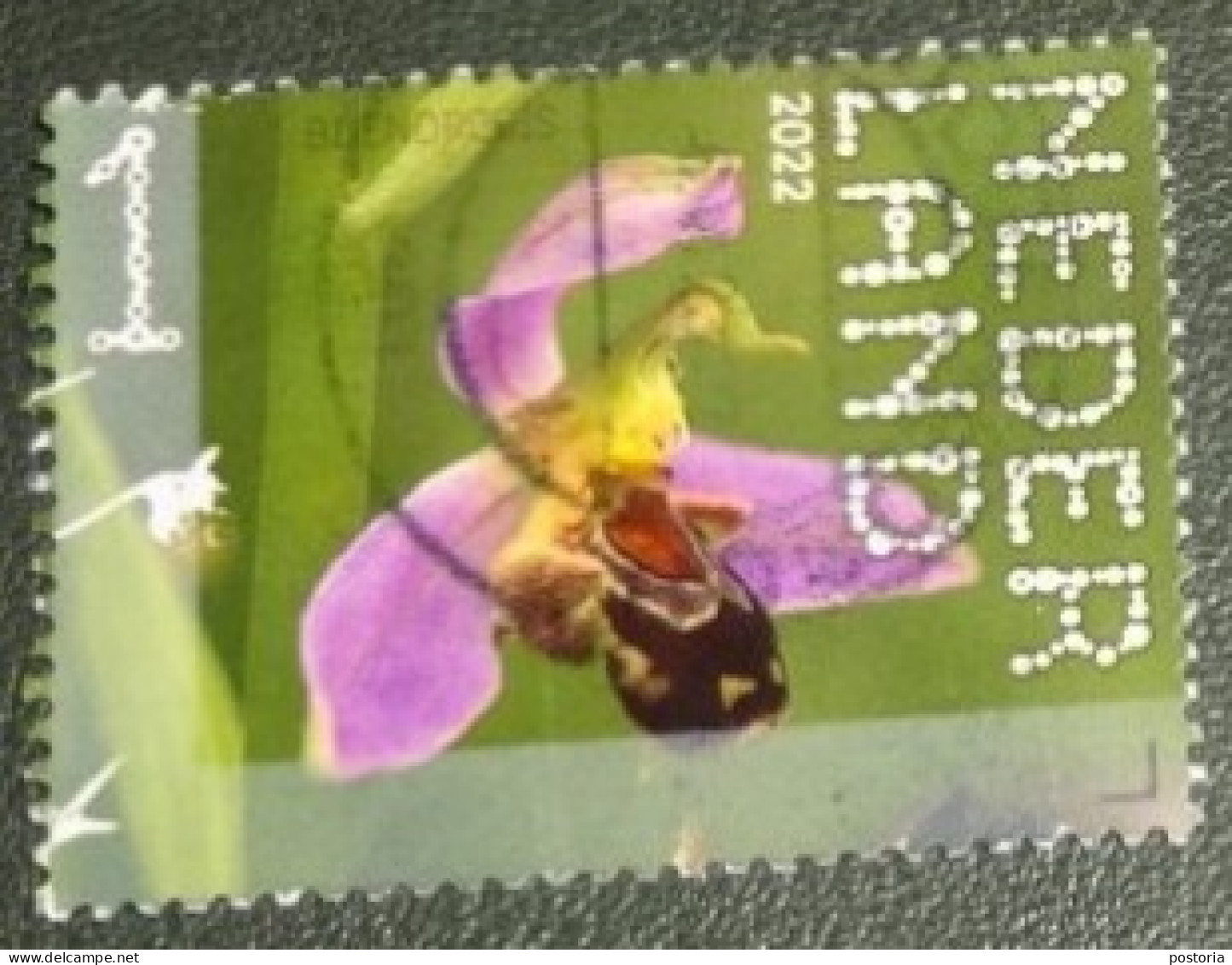 Nederland - NVPH - 4034 - 2022 - Gebruikt - Used - Beleef De Natuur - Bijenorchis - Used Stamps