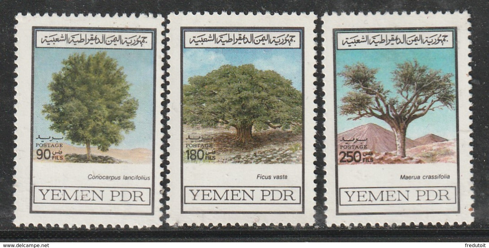YEMEN Du SUD - N°251/3 ** (1981) Arbres - Yemen