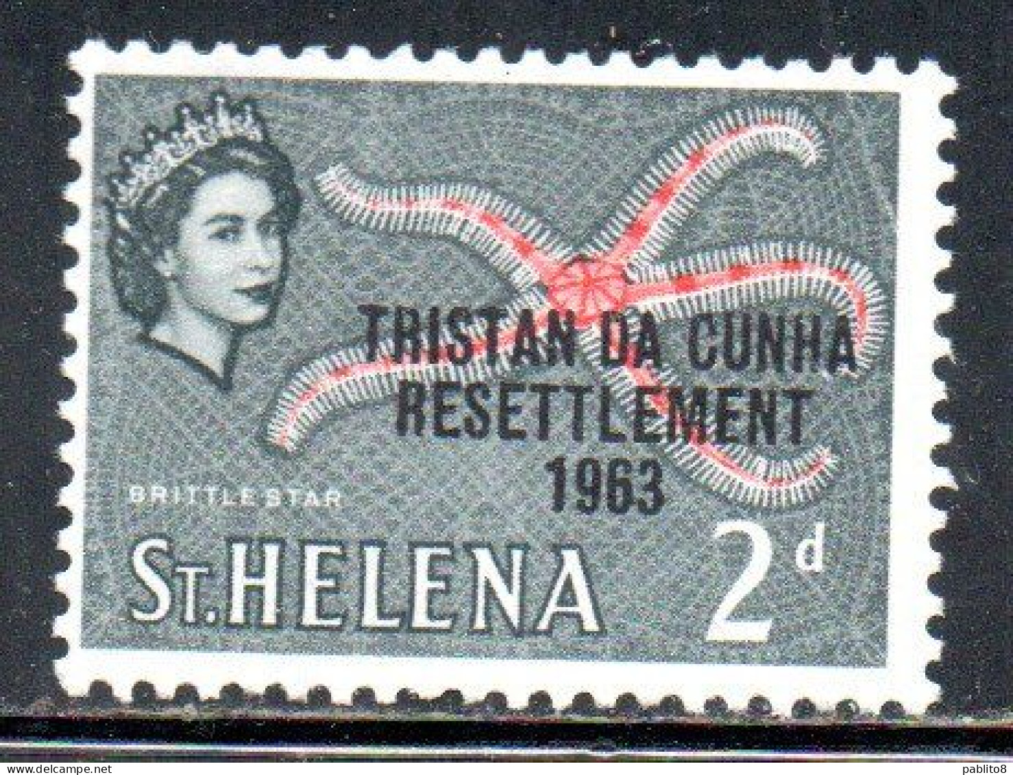 TRISTAN DA CUNHA 1963 ST. HELENA OVERPRINTED QUEEN ELIZABETH II BRITTLE STARFISH 2p MNH - Tristan Da Cunha