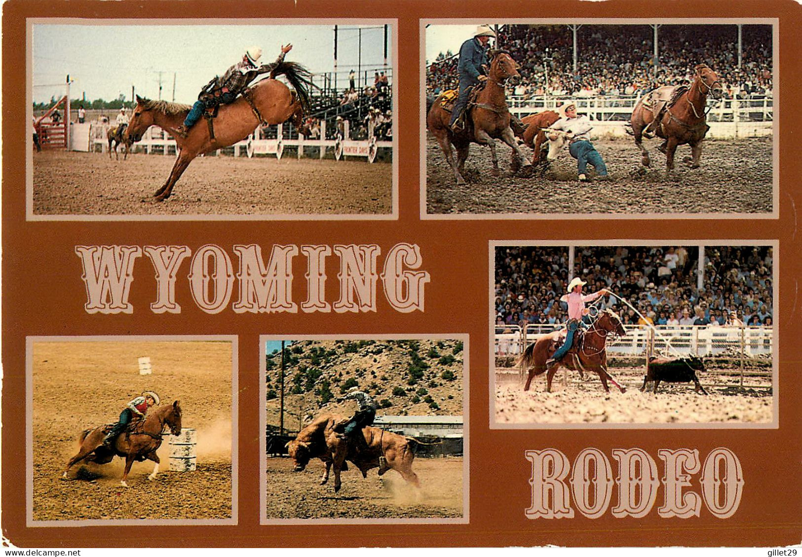 WYOMING RODEO - 7 MULTIVIES -  MOUNTAIN WEST PRINT - - Other & Unclassified