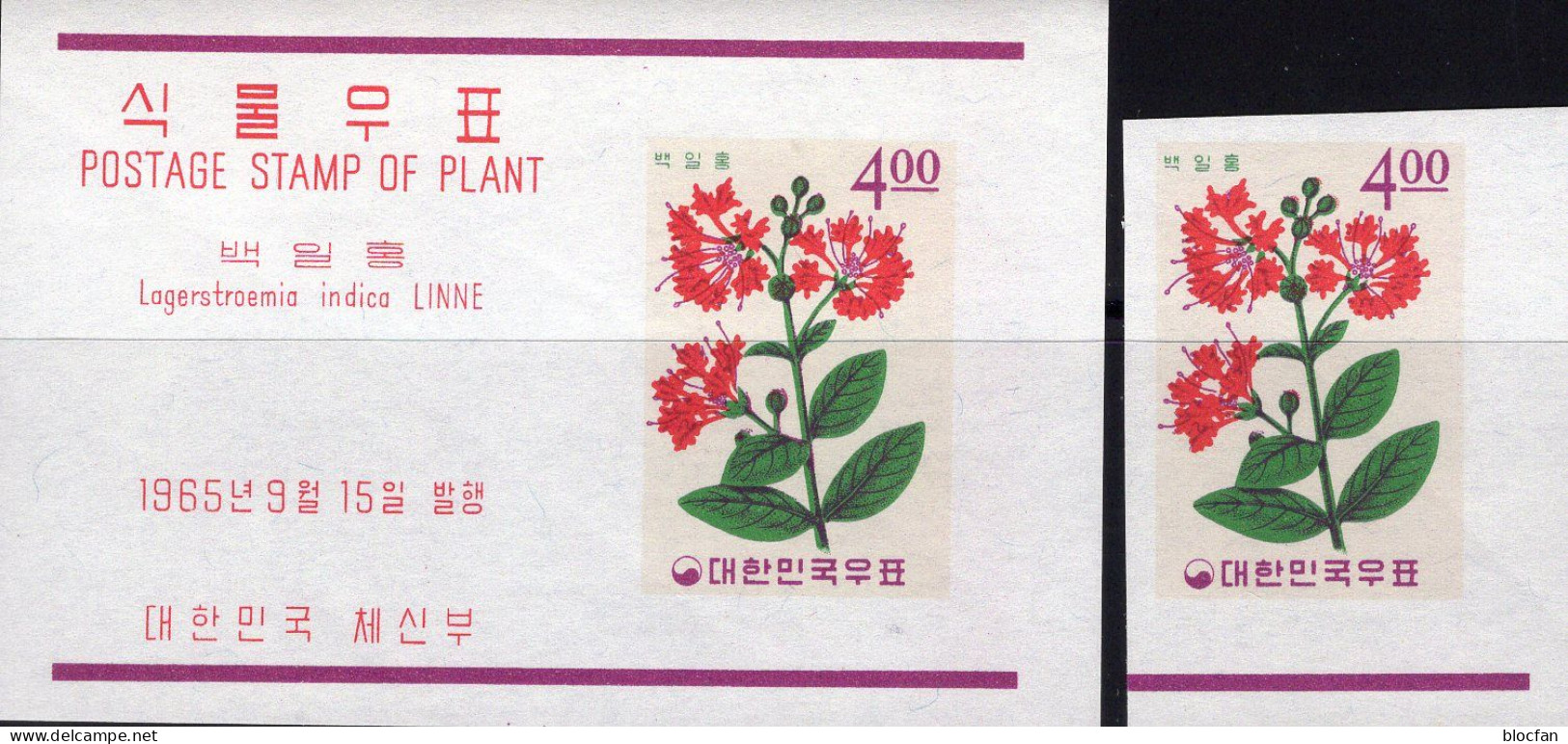 Lagerströmie Indica Korea 501B+Block 216 ** 8€ Pflanzen 1965 Lagerstroemia Flower Flora Bloc Nature Sheet Bf South-Corea - Heilpflanzen