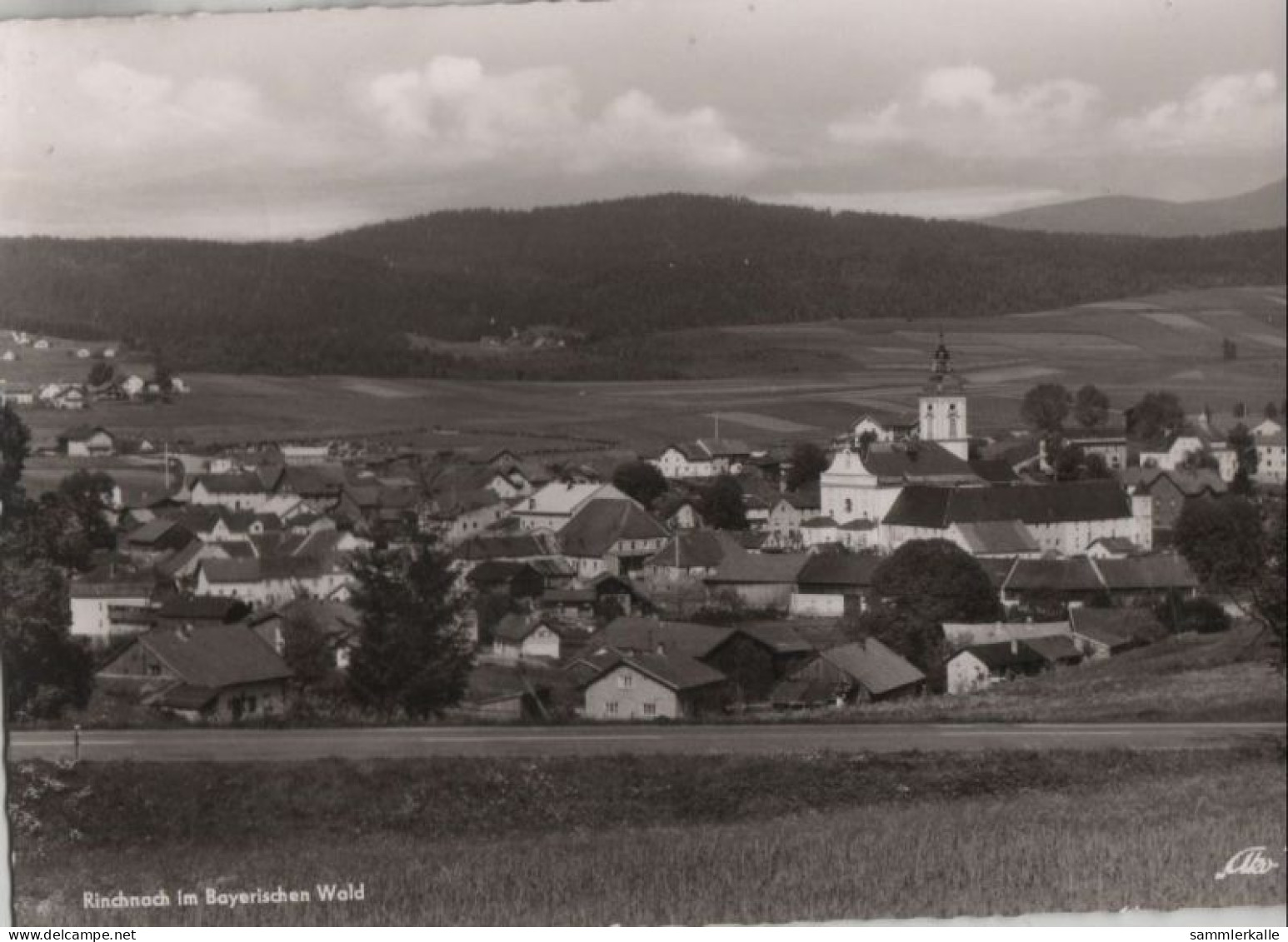 112591 - Rinchnach - Ansicht - Regen