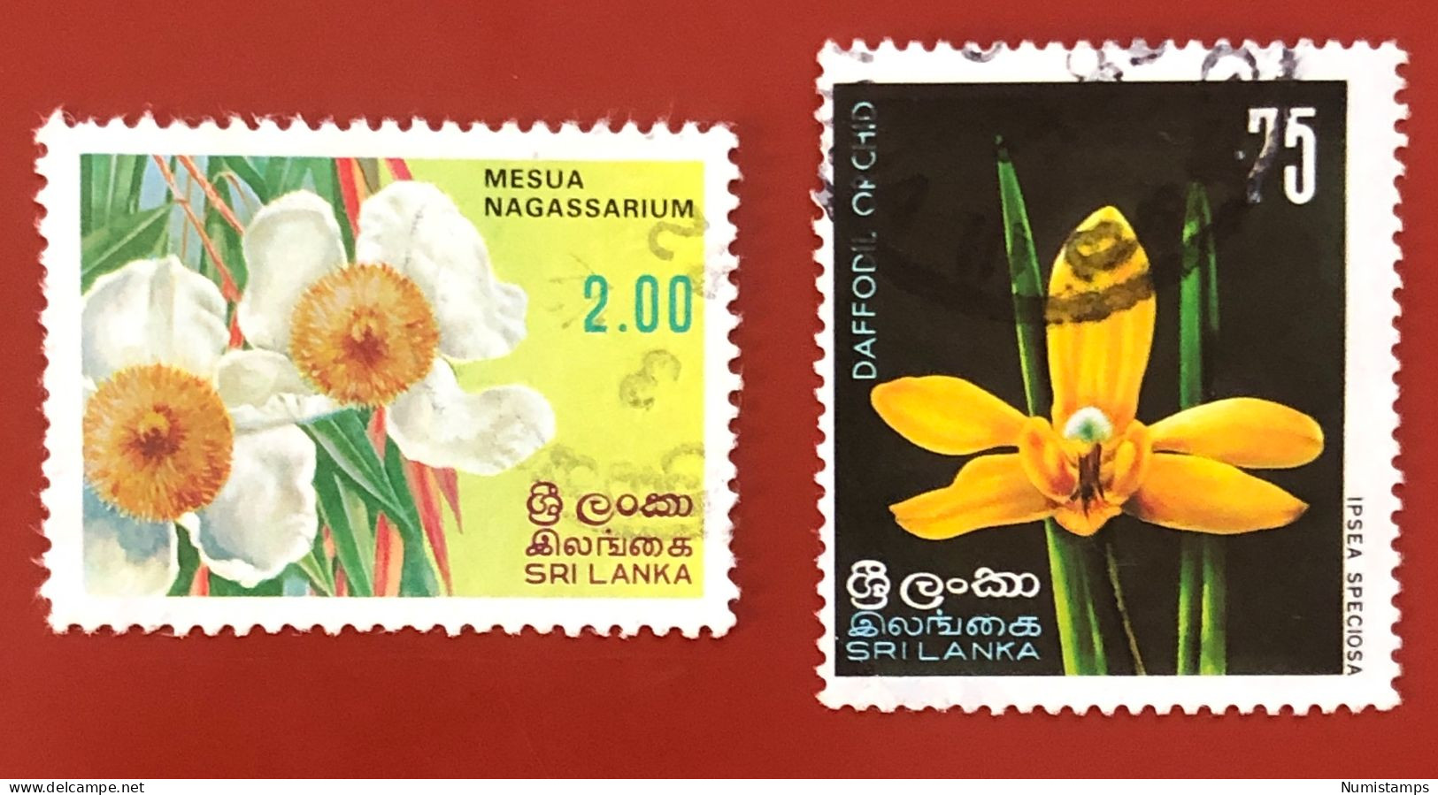 Sri Lanka - Flowers - 1976-1982 - Sri Lanka (Ceylon) (1948-...)