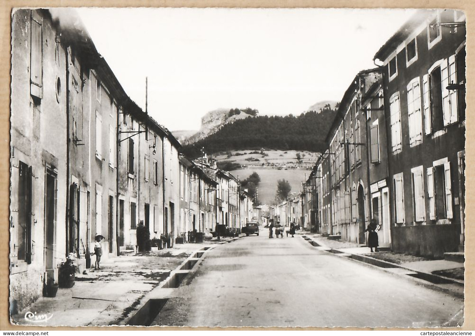 17721 / Peu Commun DOURGNE Tarn Avenue Du MAQUIS 1950s Photographie Véritable 15x10 COMBIER 2847 - Dourgne