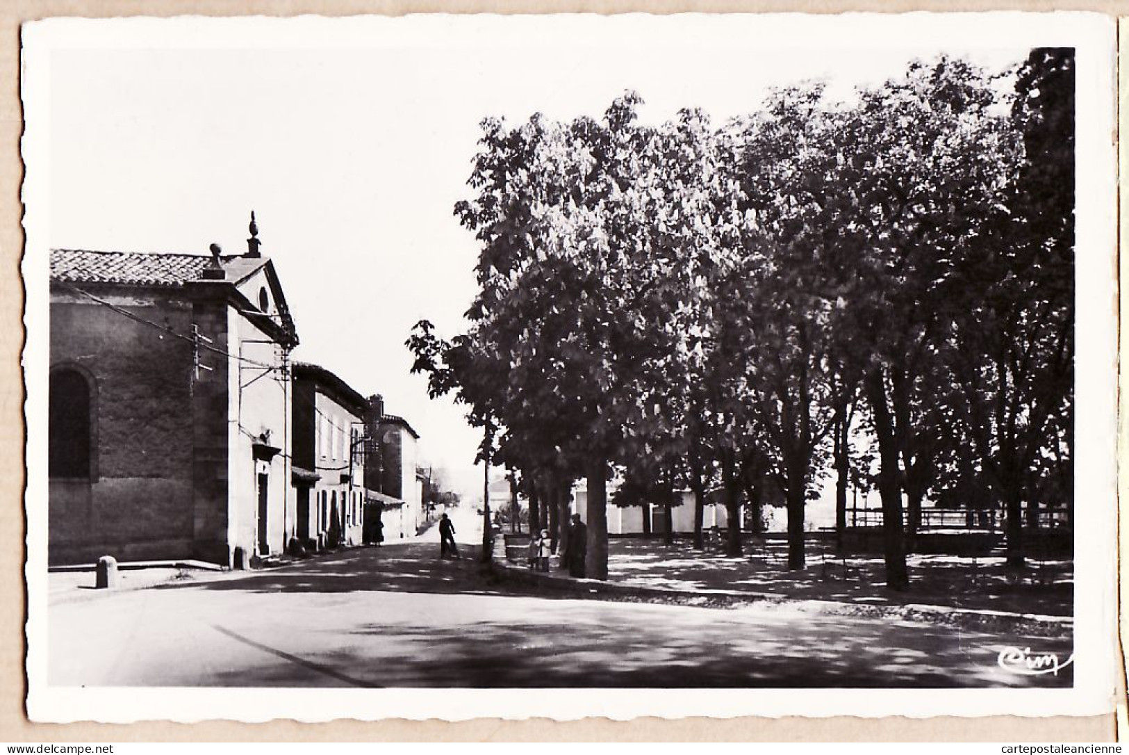 17718 / Peu Commun REALMONT Tarn Postes-Télégraphes Temple Kiosque Bosquet Route ALBAN-LABESSONNIE 1950s - Realmont