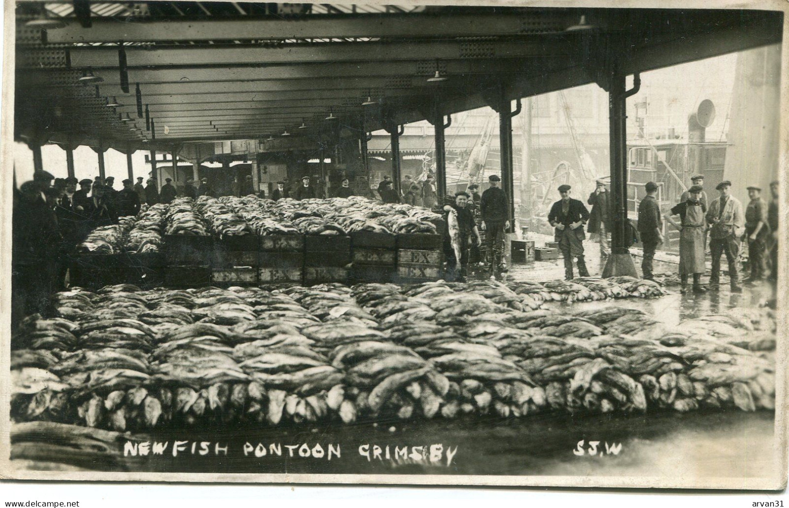 GRIMSBY - MEW FISH PONTOON - VERY RARE PHOTO CARD  - - Autres & Non Classés