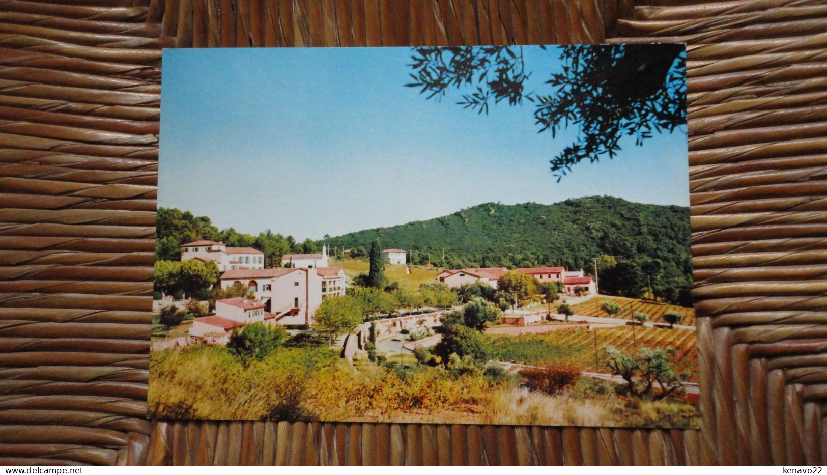 La Valette Du Var , Domaine Des Gueules Cassées Le Coudon , Vue Générale - La Valette Du Var