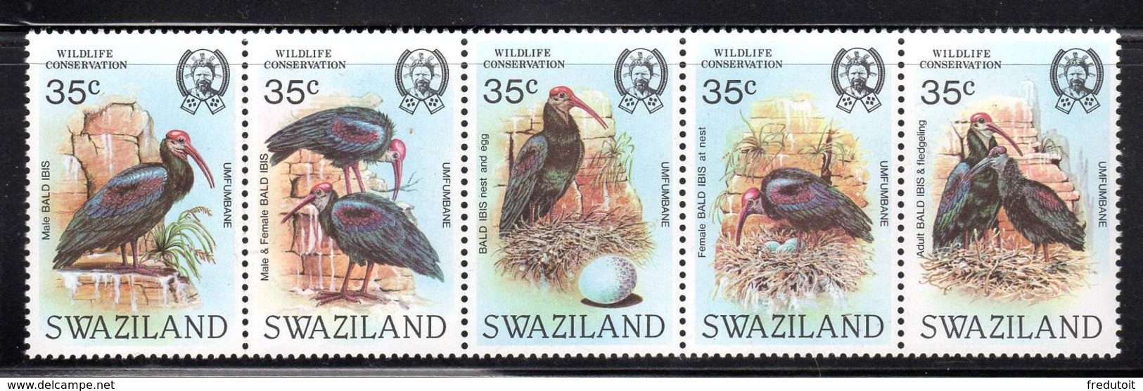 SWAZILAND - N°447/51  ** (1984)  OISEAUX  : L'ibis Chauve - Swaziland (1968-...)