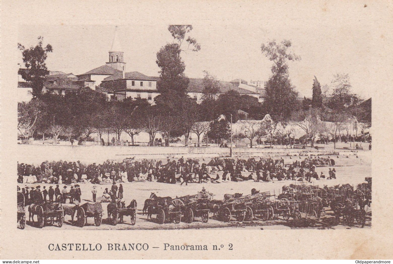 POSTCARD PORTUGAL - CASTELO BRANCO - PANORAMA 2 - Castelo Branco