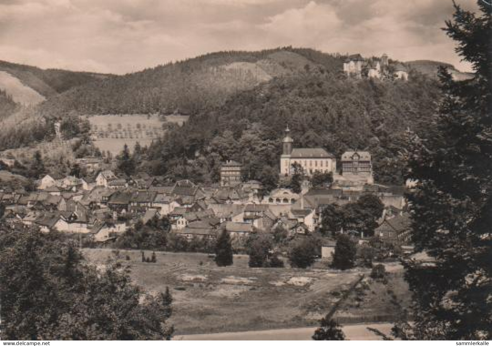 3172 - Leutenberg - Blick Von Der Gustav-Fehler-Höhe - 1962 - Leutenberg