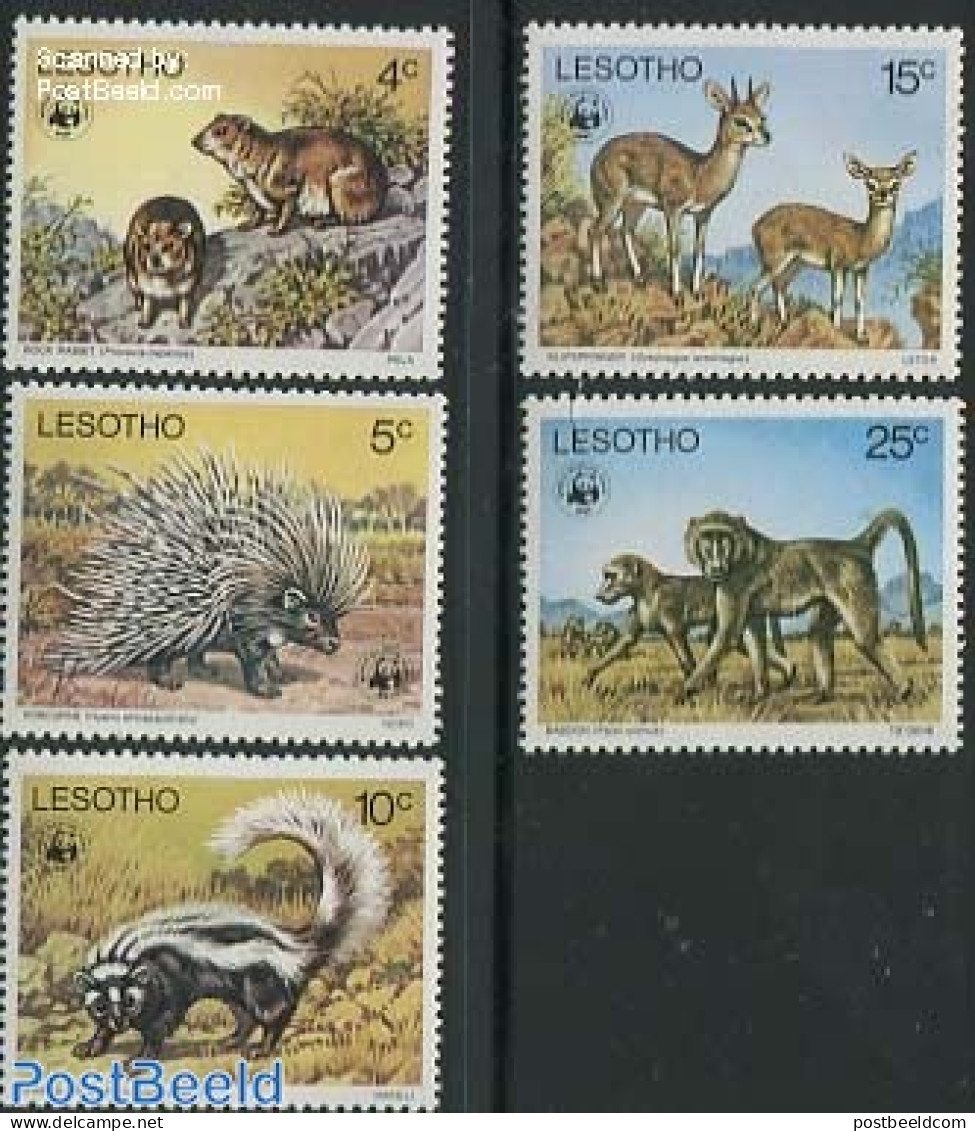 Lesotho 1977 WWF, Animals 5v, Mint NH, Nature - Animals (others & Mixed) - Monkeys - World Wildlife Fund (WWF) - Lesotho (1966-...)
