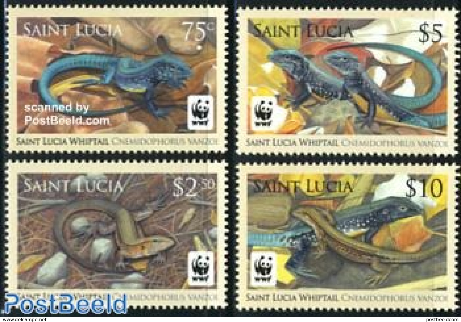 Saint Lucia 2008 WWF, Cnemidophorus Vanzoi 4v, Mint NH, Nature - Reptiles - World Wildlife Fund (WWF) - St.Lucia (1979-...)