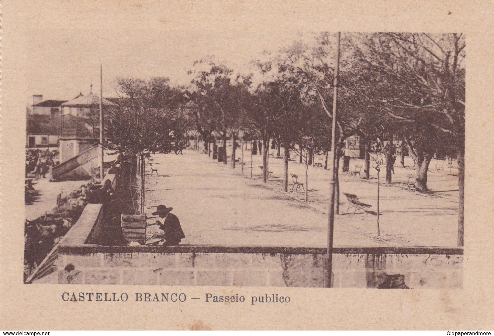 POSTCARD PORTUGAL - CASTELO BRANCO - PASSEIO PÚBLICO - Castelo Branco