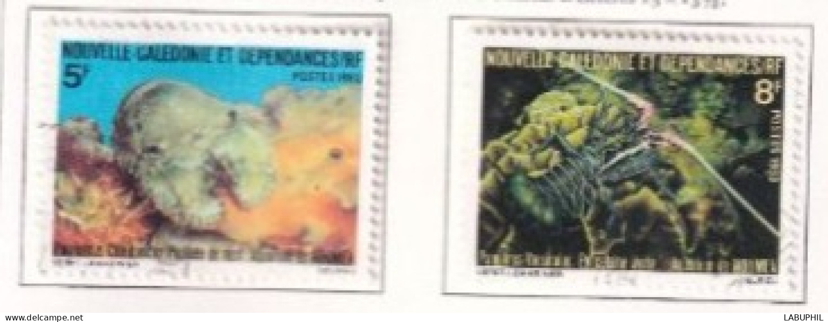 NOUVELLE CALEDONIE Dispersion D'une Collection Oblitéré Used 1980 FAUNE - Usados