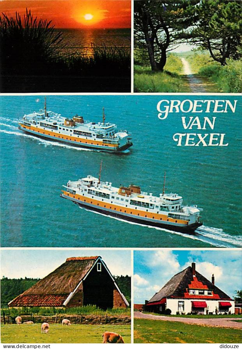 Pays-Bas - Nederland - Texel - Multivues - CPM - Voir Scans Recto-Verso - Texel