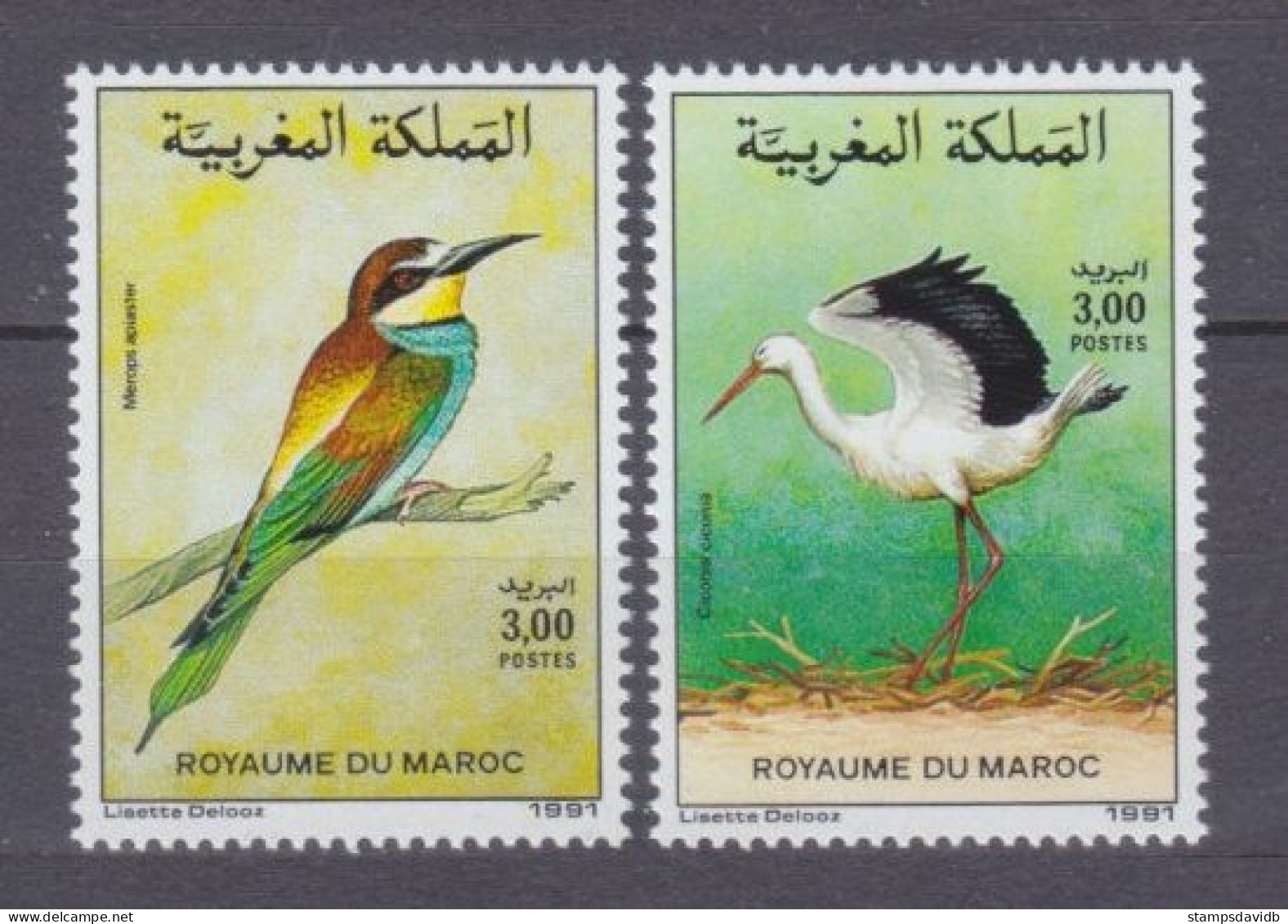 1991 Morocco 1199-1200 Birds 5,40 € - Marine Web-footed Birds