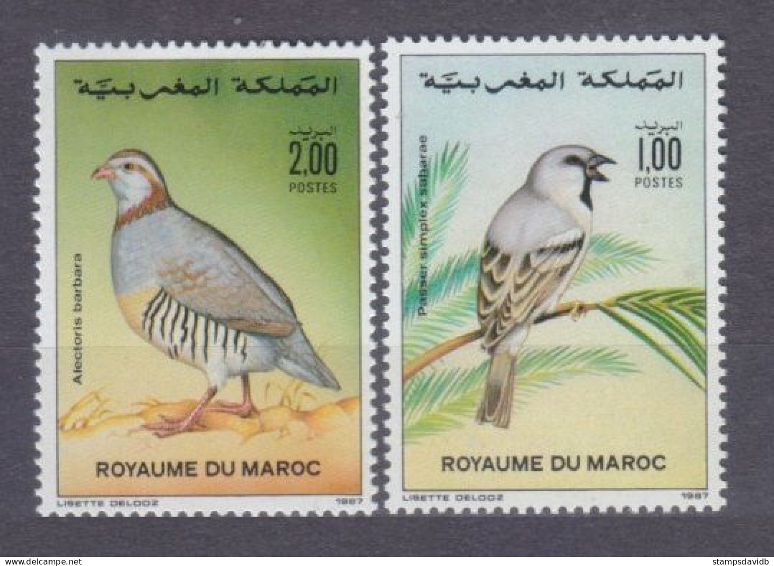 1987 Morocco 1131-1132 Birds - Segler & Kolibris