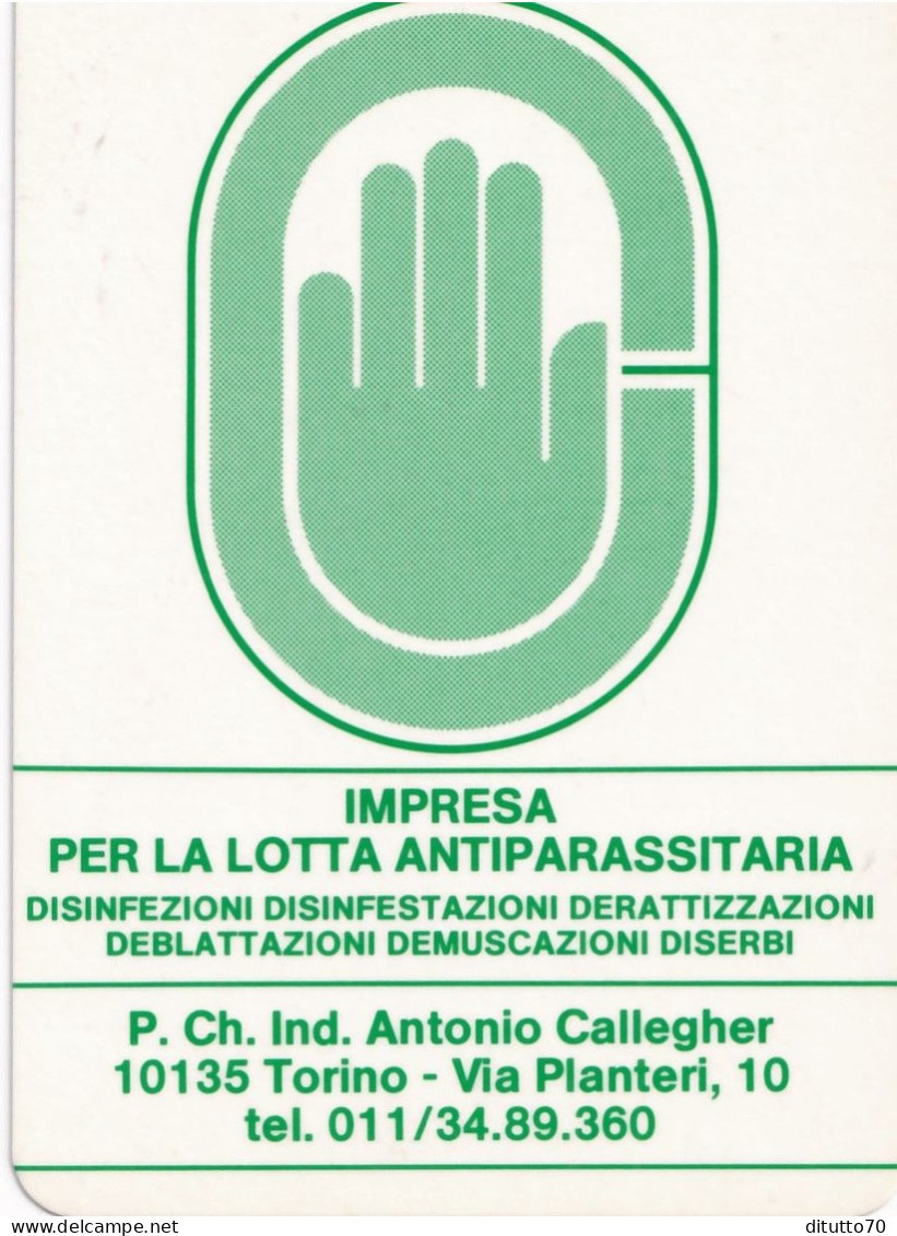 Calendarietto - Impresa Per La Lotta Antiparassitaria - Torino - Anno 1989 - Petit Format : 1981-90