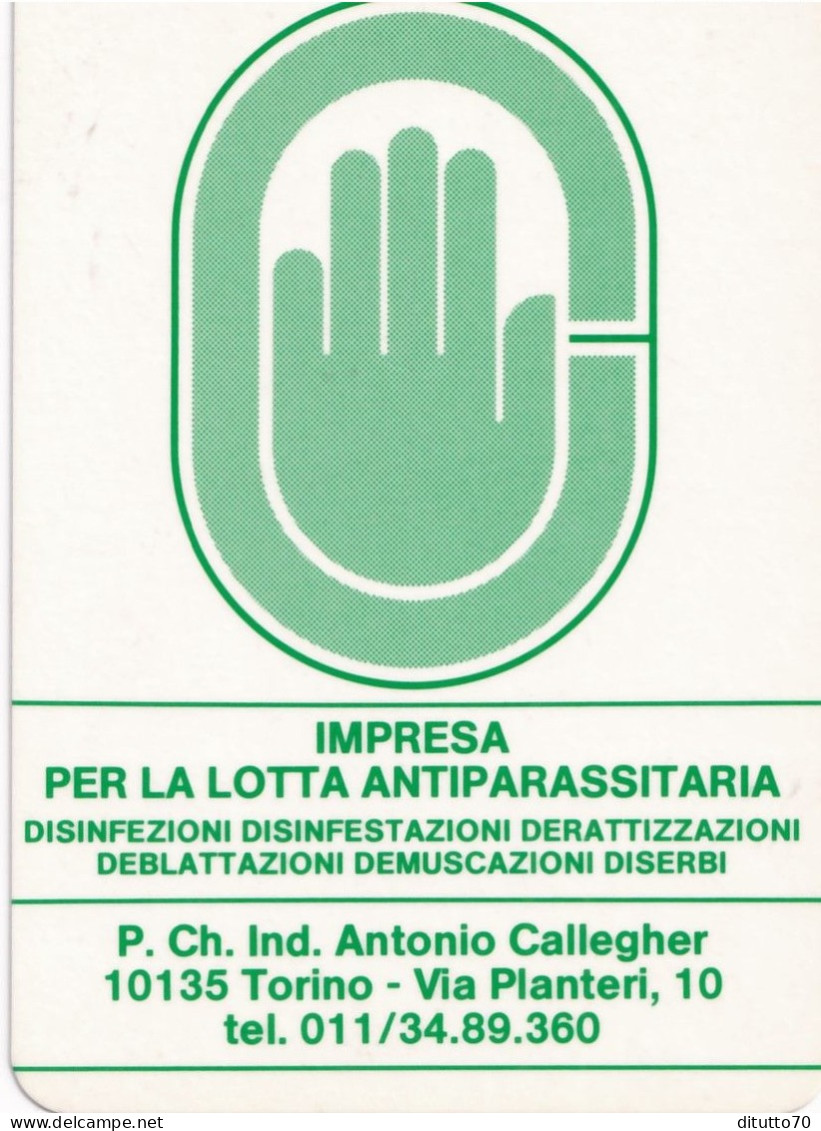 Calendarietto - Impresa Per La Lotta Antiparassitaria - Torino - Anno 1989 - Small : 1981-90