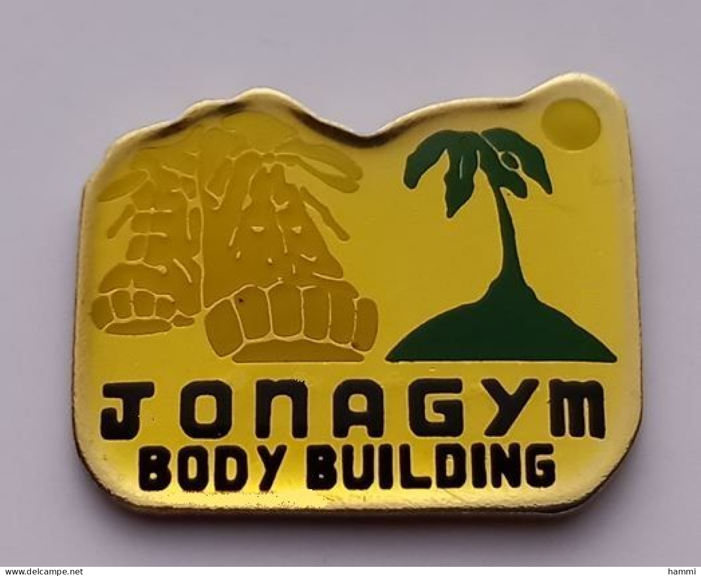 FF263 Pin's JONAGYM JONA GYM BODY BUILDING BODY BUILDING Palmier Gymnastique Achat Immédiat - Gymnastics