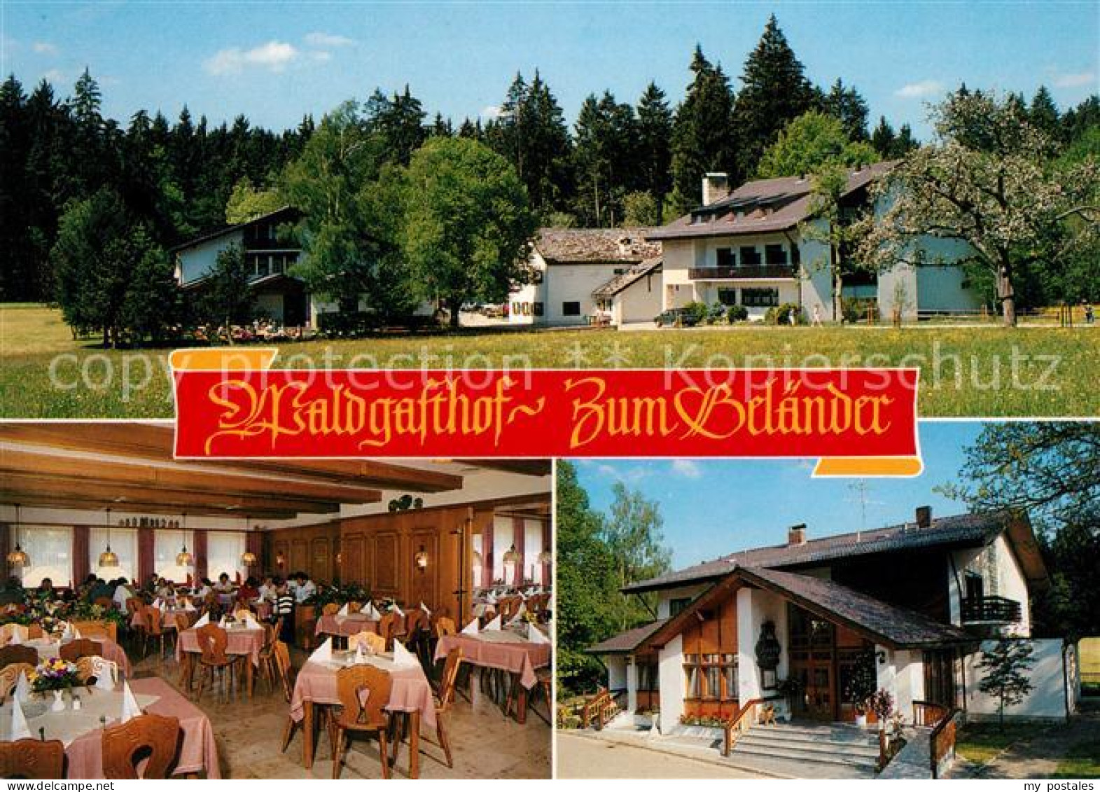 73035810 Eichstaett Oberbayern Waldgasthof Zum Gelaender Blumenberg - Eichstätt