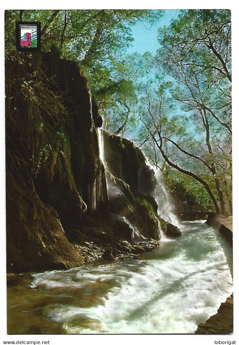 MONASTERIO DE PIEDRA - CASCADA " EL IRIS " - IRIS WATERFALL - CASCADE DE L'IRIS - ( ZARAGOZA ). - Heilige Stätte