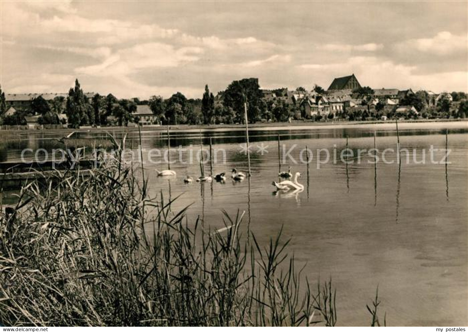 73034462 Prenzlau Am Unteren Ueckersee Prenzlau - Prenzlau