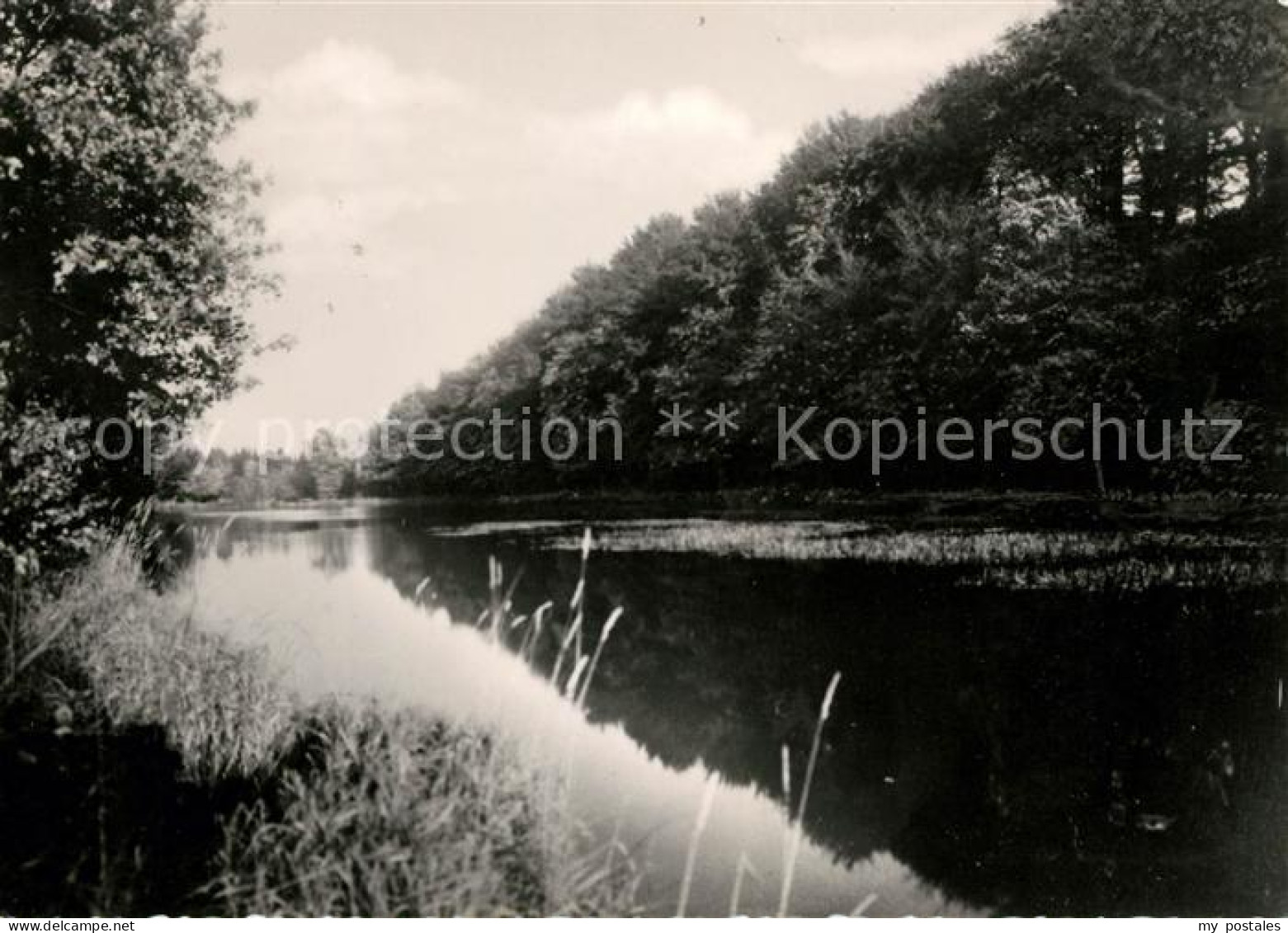 73034162 Neudorf Harzgerode Grenzteich Neudorf Harzgerode - Harzgerode