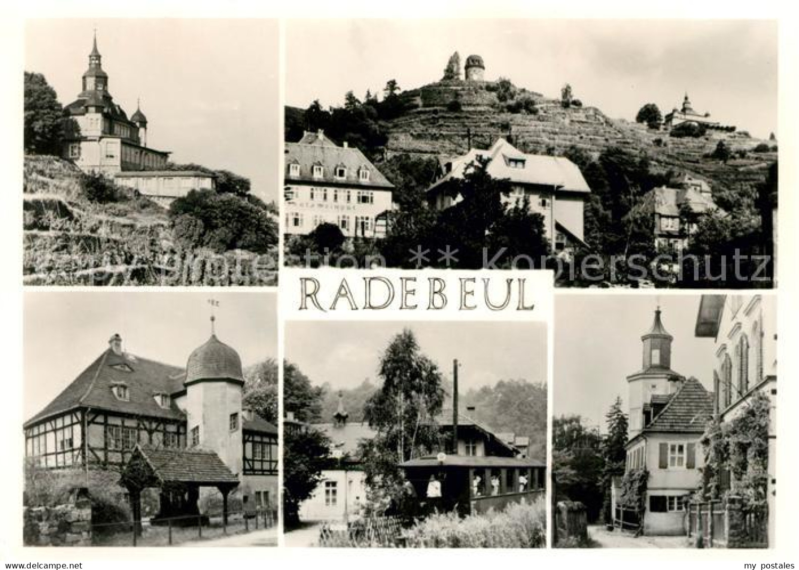 73033676 Radebeul Schloss Stadtansichten Radebeul - Radebeul