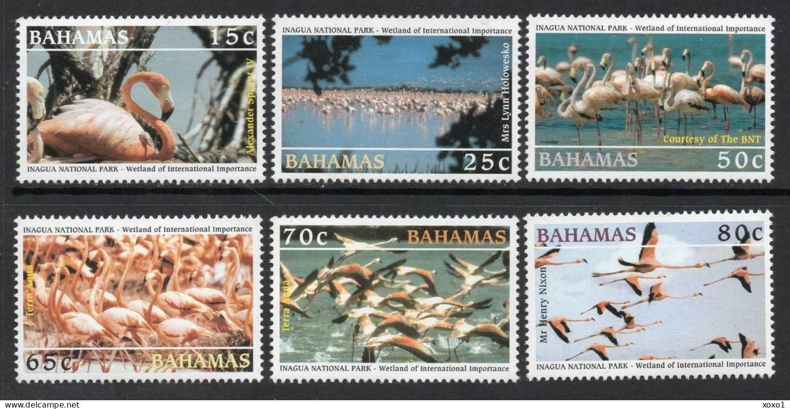Bahamas 2003 MiNr. 1129 - 1134  Birds American Flamingo Inagua National Park 6v MNH** 9.00 € - Fenicotteri