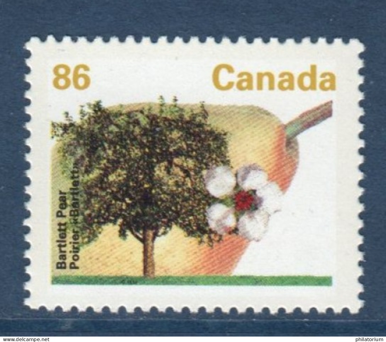 Canada, **, Yv 1295, Mi 1342 A, SG 1476, Poire De Bartlett, - Alberi