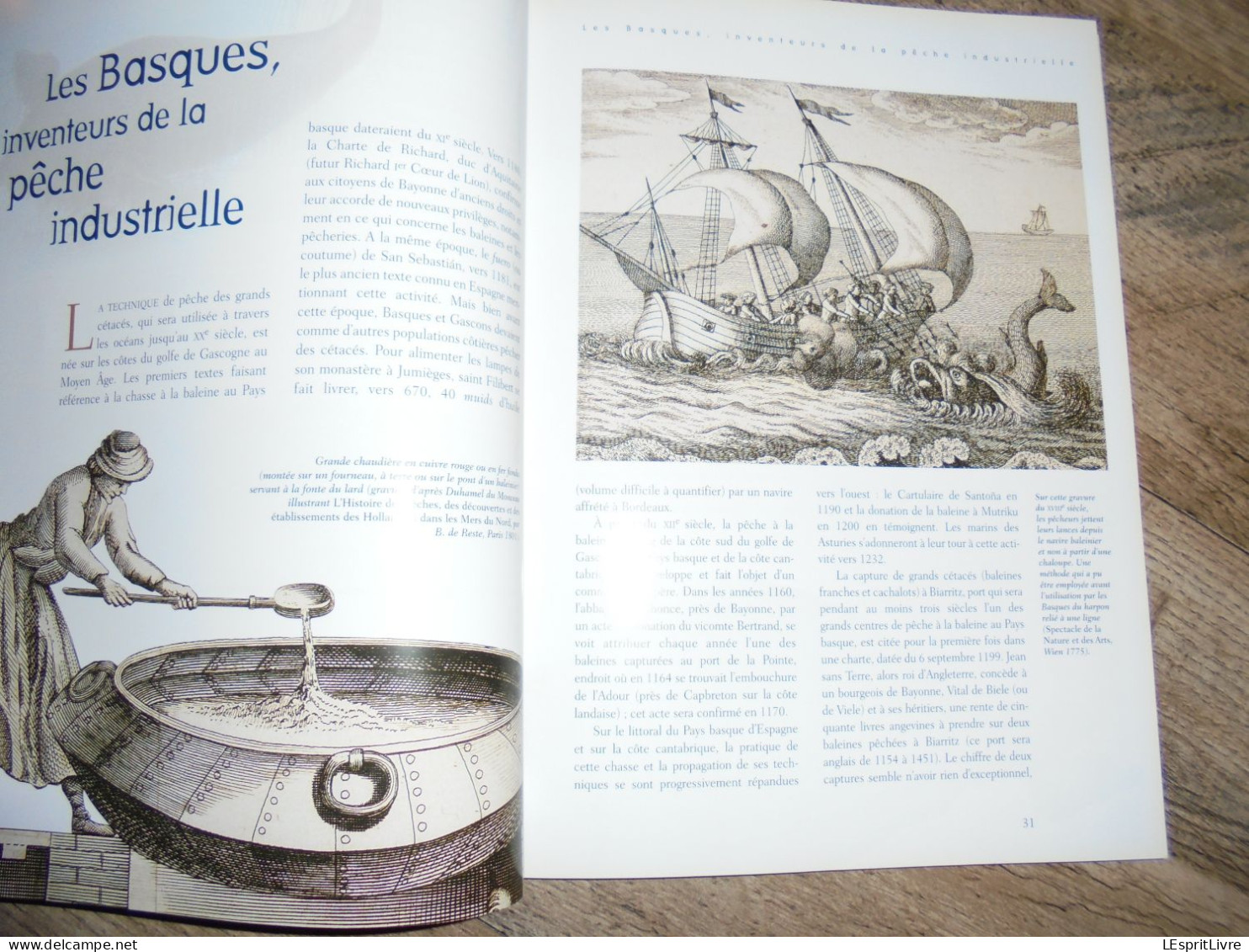 DIX SIECLES DE PÊCHE à LA BALEINE Régionalisme France Marin Marine Pêcheur Basque Normand Baleinier Mer Terres Neuves