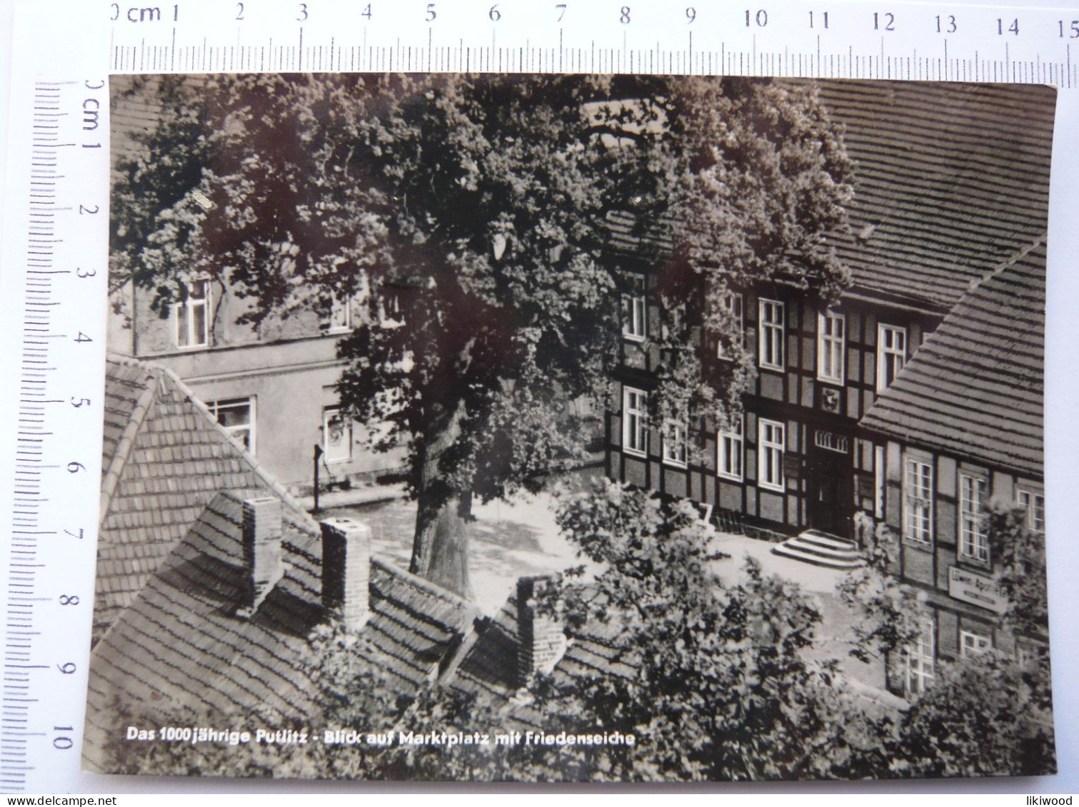 Das 1000 Jährige Putlitz - Blick Auf Marktplatz Mit Friedenseiche - Putlitz