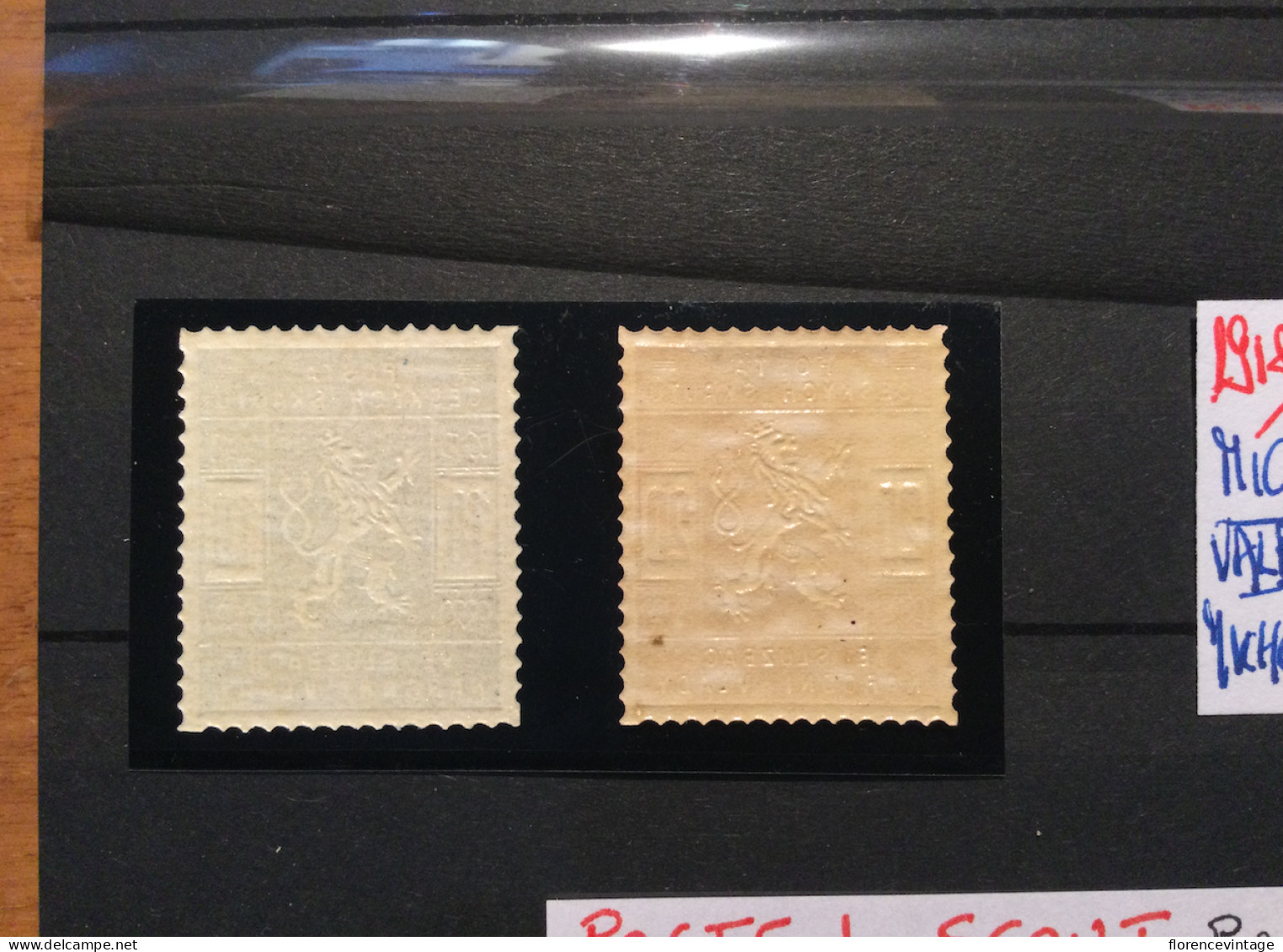 Posta Ceskych Skautu 1918 Neuf Charniére Lègére - Unused Stamps