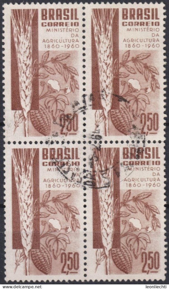 1960 Brasilien ° Mi:BR 986, Sn:BR 909, Yt:BR 694, Centenary Of Brazilian Ministry Of Agriculture, Landwirtschaft - Gebruikt
