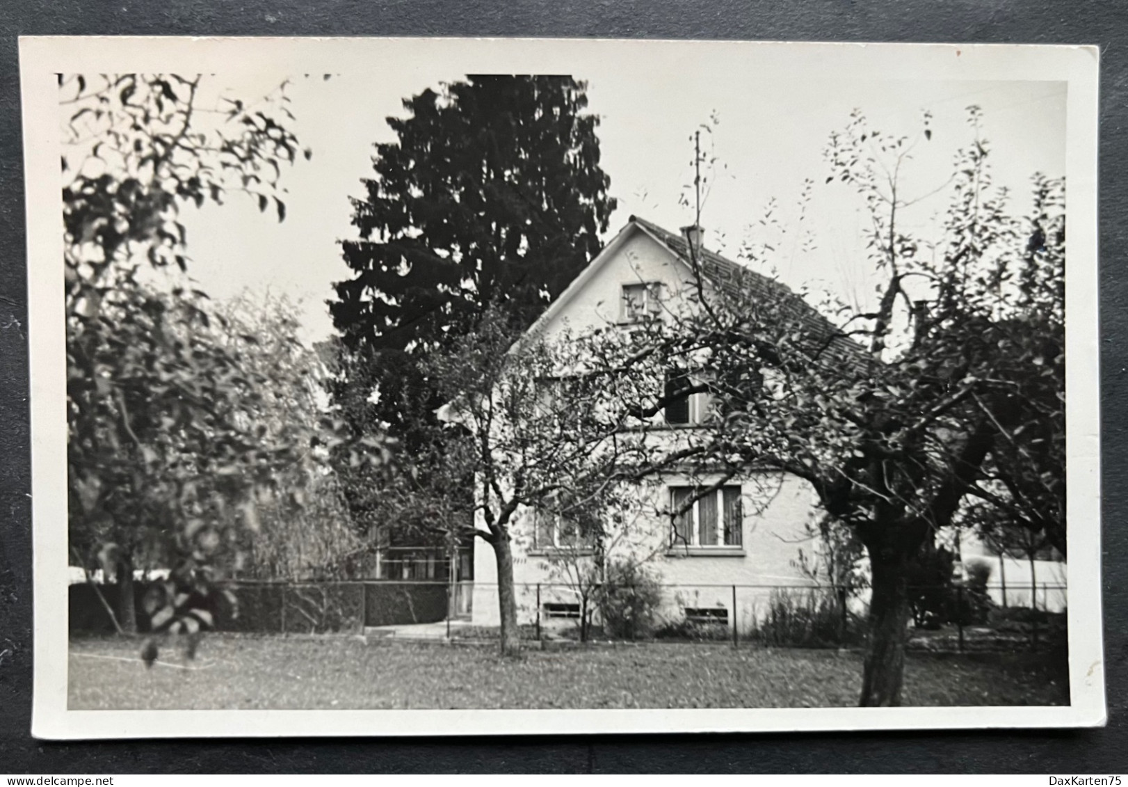 Haus Evt In Zurzach/ Fotokarte - Zurzach