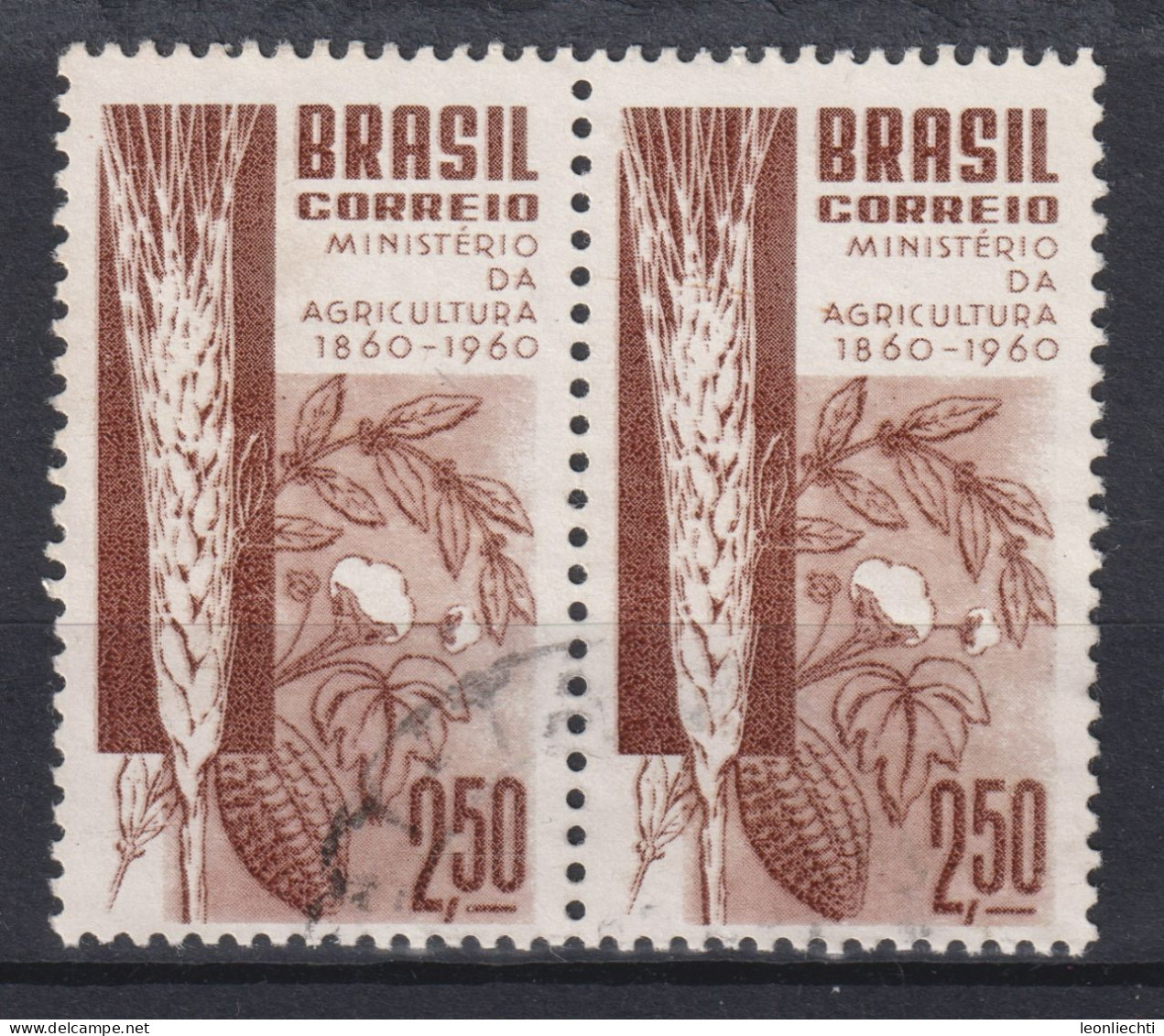 1960 Brasilien ° Mi:BR 986, Sn:BR 909, Yt:BR 694, Centenary Of Brazilian Ministry Of Agriculture, Landwirtschaft - Usati