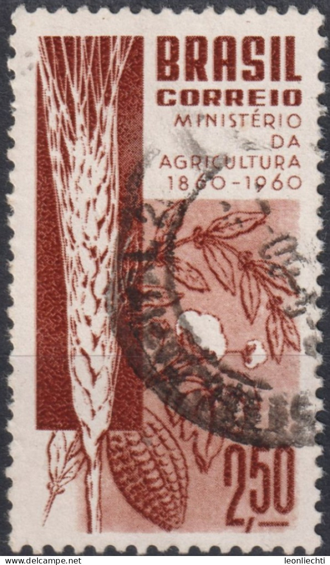 1960 Brasilien ° Mi:BR 986, Sn:BR 909, Yt:BR 694, Centenary Of Brazilian Ministry Of Agriculture, Landwirtschaft - Usados