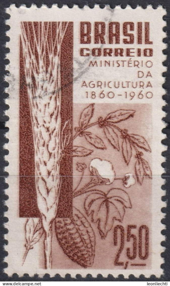 1960 Brasilien ° Mi:BR 986, Sn:BR 909, Yt:BR 694, Centenary Of Brazilian Ministry Of Agriculture, Landwirtschaft - Gebraucht