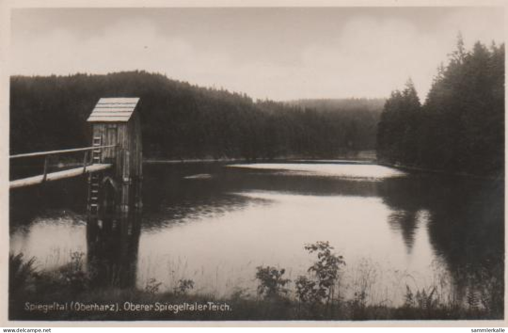 8344 - Wildemann - Spiegeltal Oberharz - Oberer Spiegeltaler Teich - Ca. 1955 - Wildemann