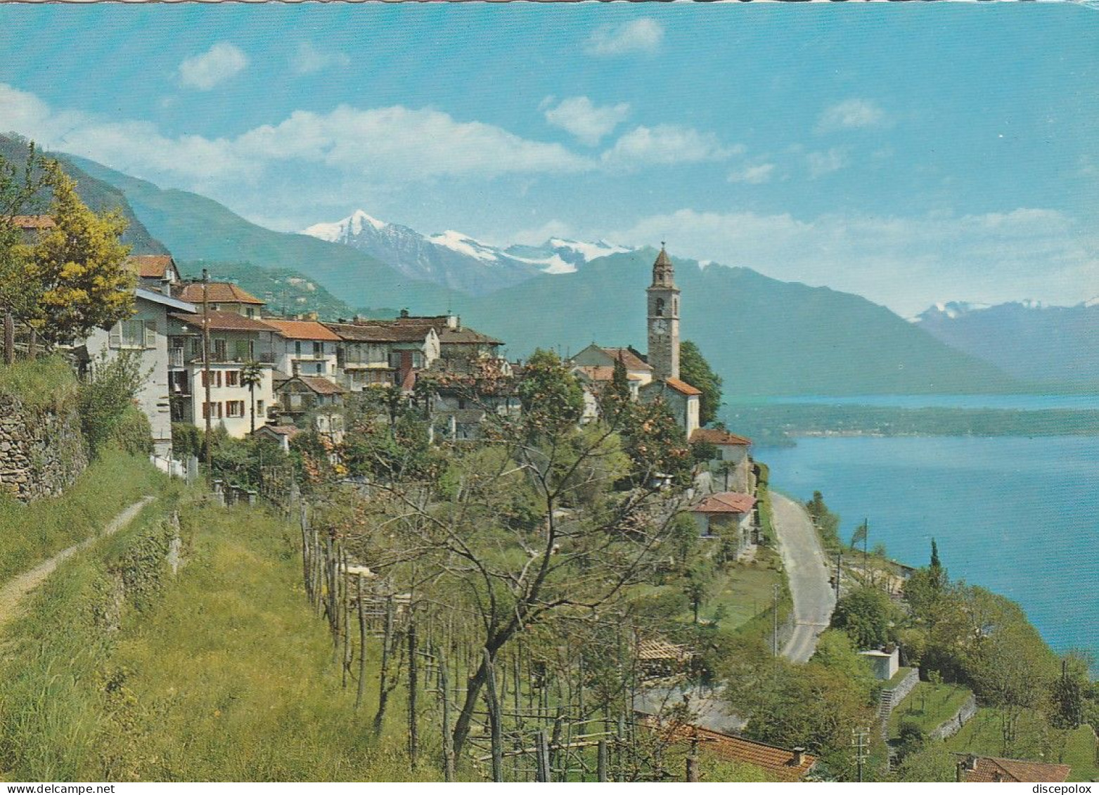 U5640 Ronco Sopra Ascona - Panorama Sul Lago Maggiore / Non Viaggiata - Ronco Sopra Ascona