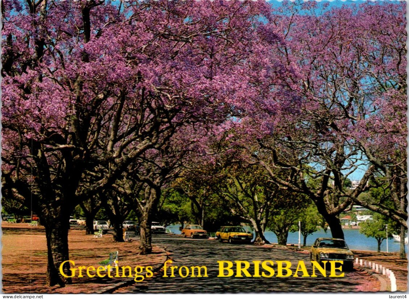 7-3-2024 (2 Y 23) Australia (posted With Stamp) QLD - Brisbane Jacaranda Trees - Arbres