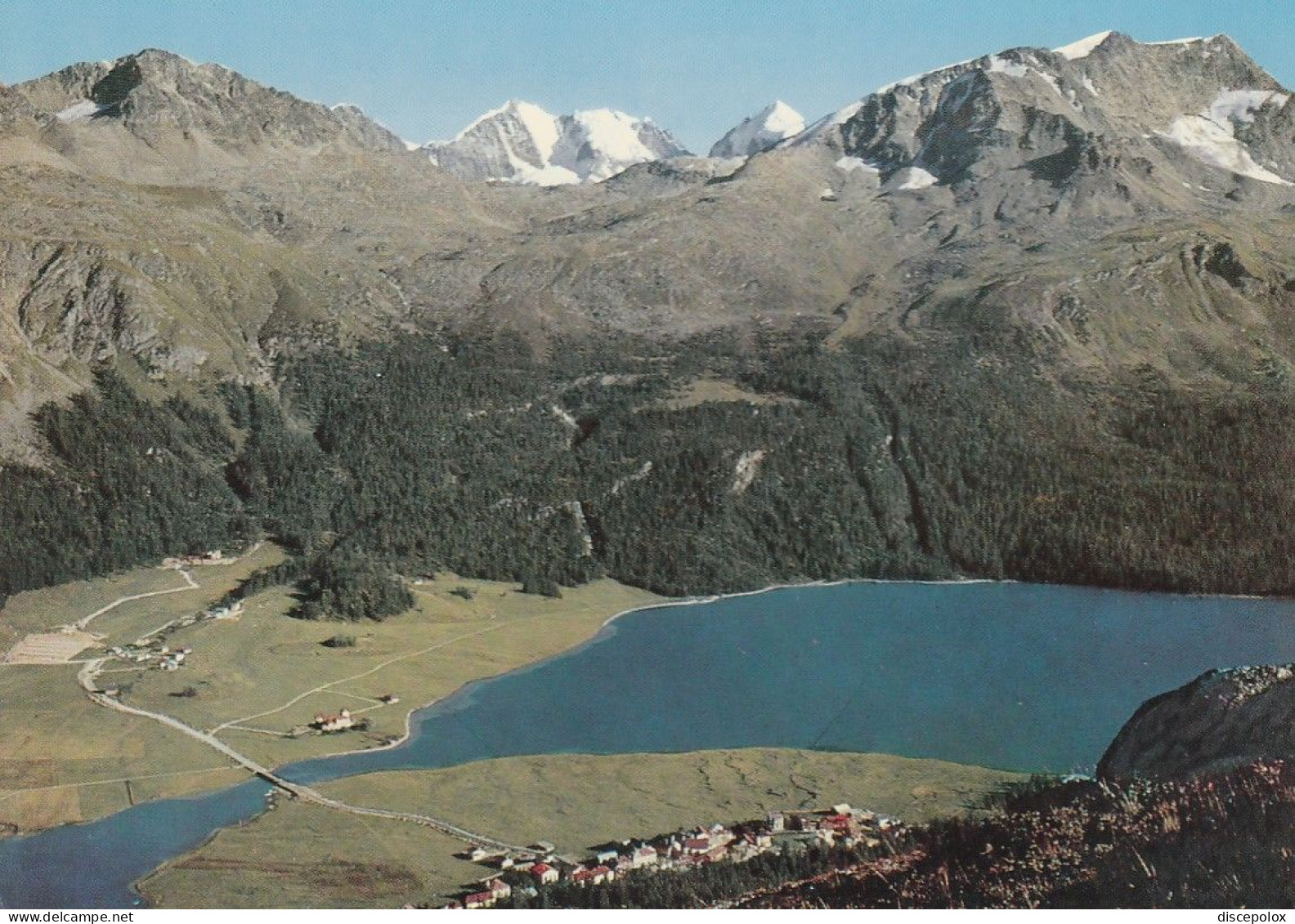 U5650 Silvaplana - Surlej Mit Bernina Und Piz Corvatsch - Panorama / Non Viaggiata - Silvaplana