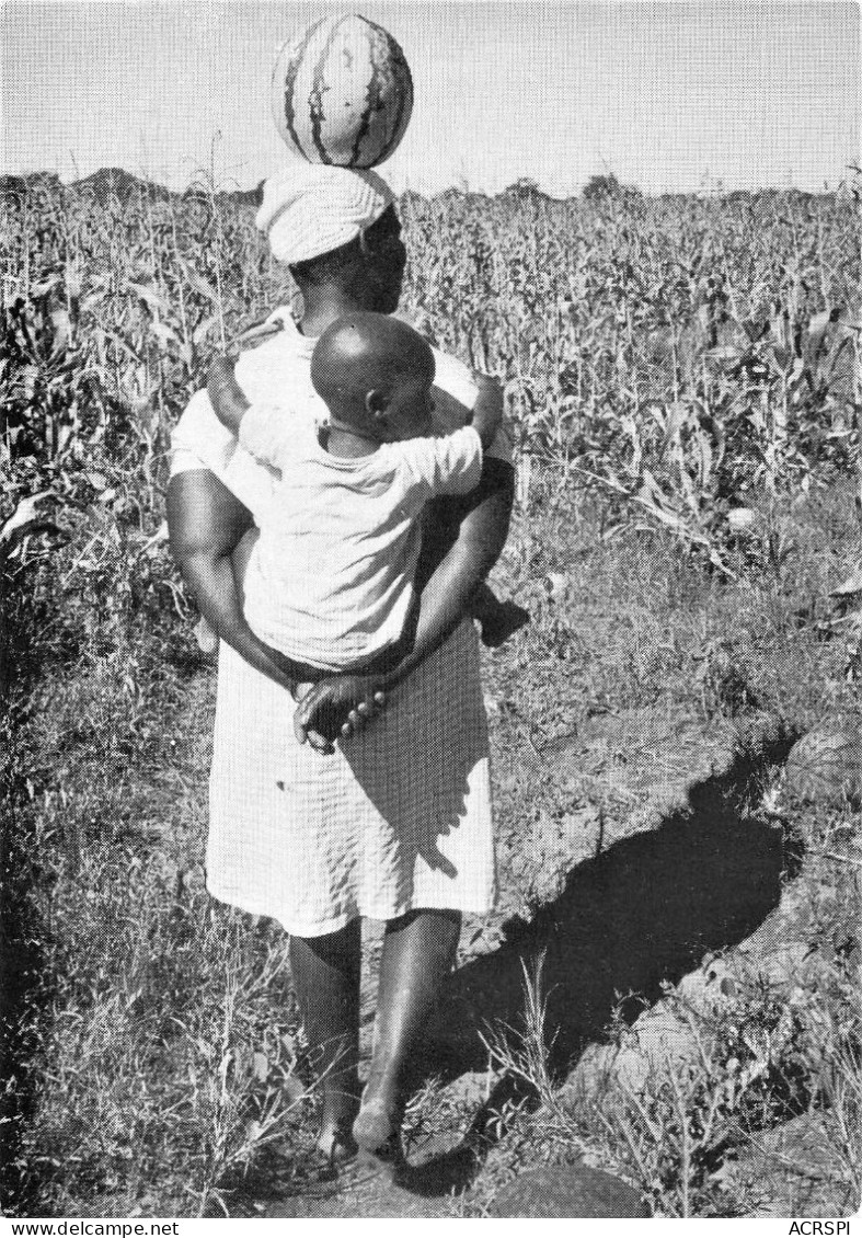 BOTSWANA District De Kgatleng Thobo Ya Kgatleng Women Children  And Watermelon Kahn  GAROBONE  (2 Scans) N°29 \MP7111 - Botswana